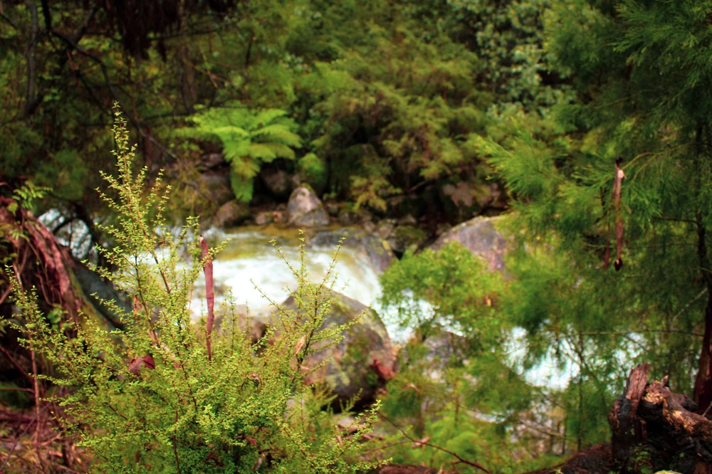 Image uploaded by Mason Bartholomai