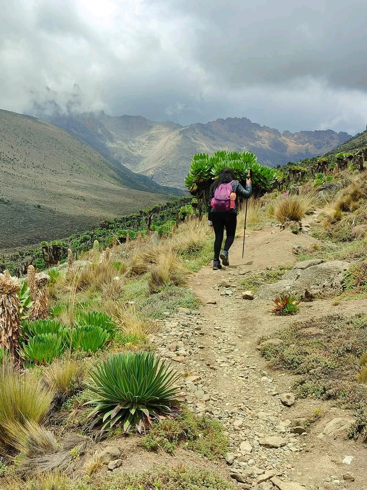 Image uploaded by Mercii