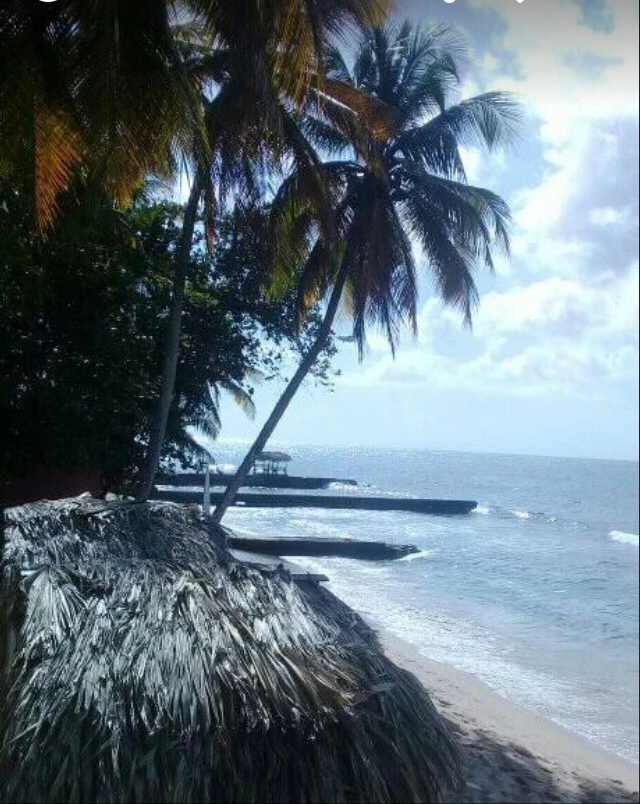 Image uploaded by Natasha