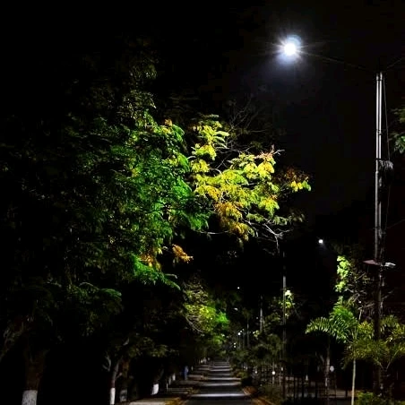 Duab xa los ntawm Mohan Krishna