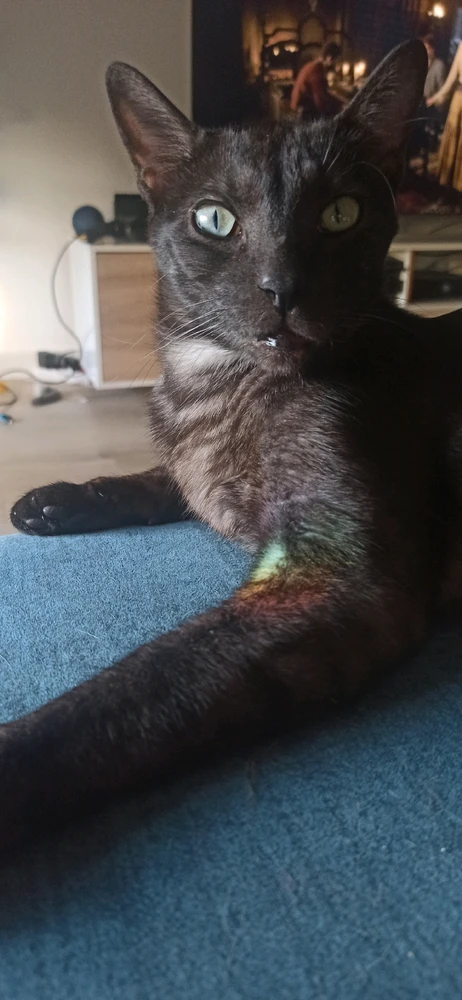 Imagen subida por Carlos