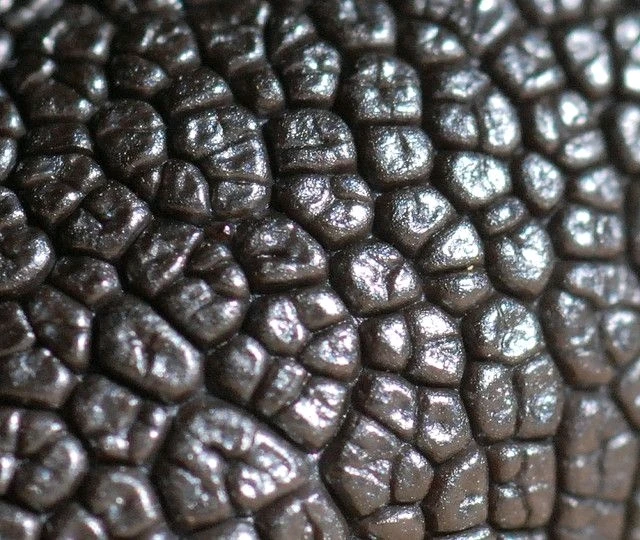 Bild hochgeladen von Steven