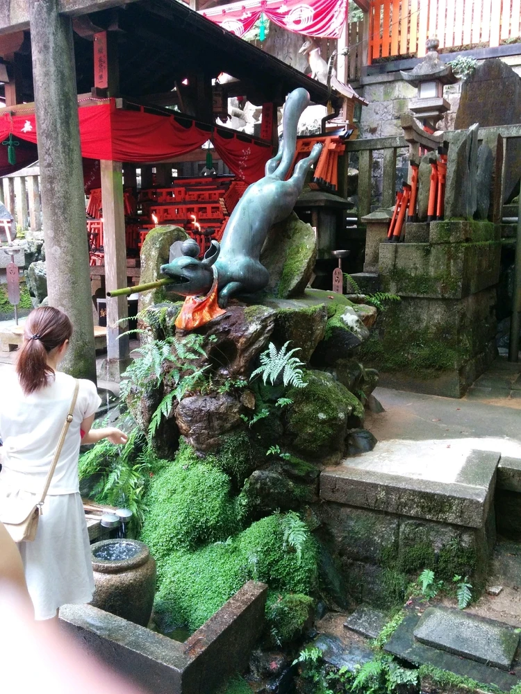 Zdjęcie dodane przez Willruntojapan