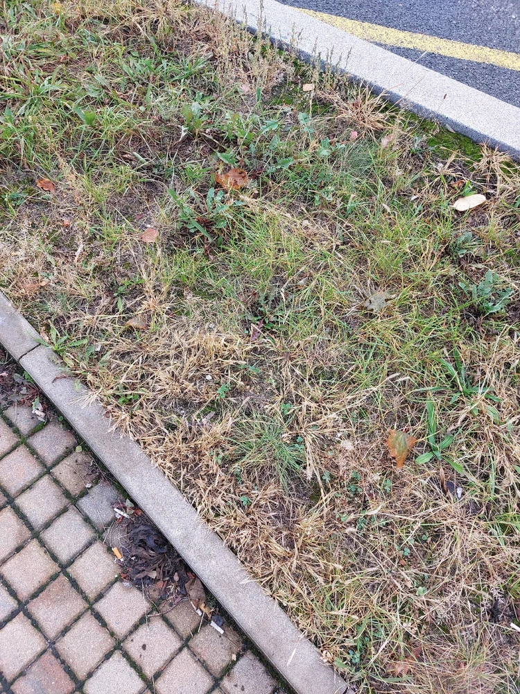 Obrázek nahrál Denny