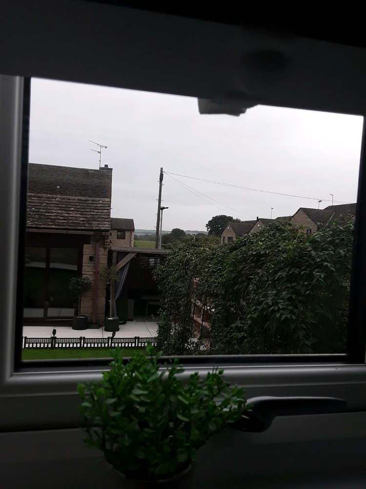 Image uploaded by Conner