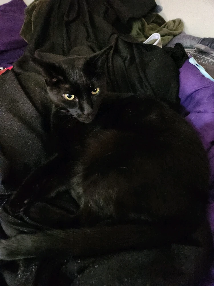 Image uploaded by Elizabeth