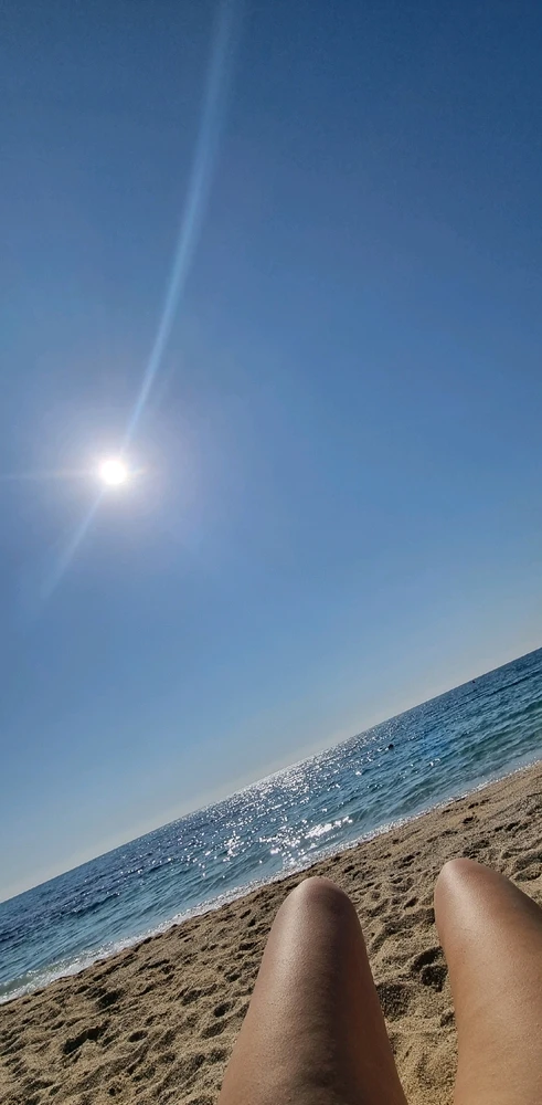 Imatge pujada per Rosa