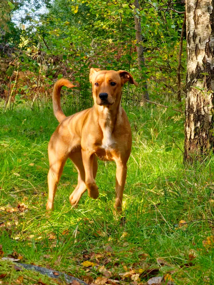 Zdjęcie dodane przez Angela