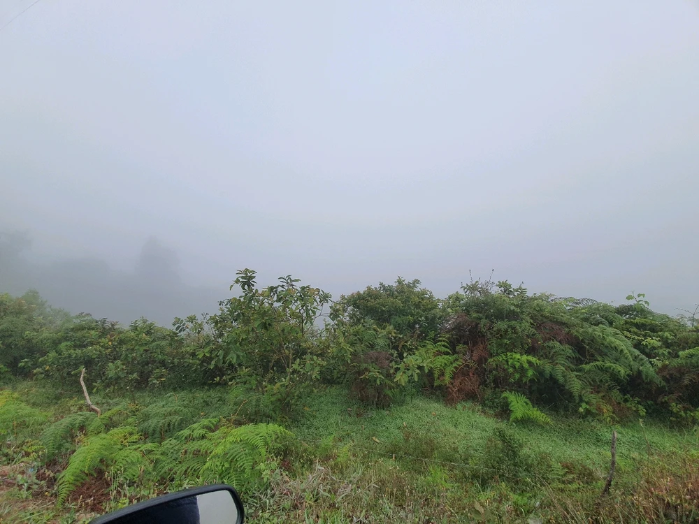 Imagen subida por Alexis Ochoa