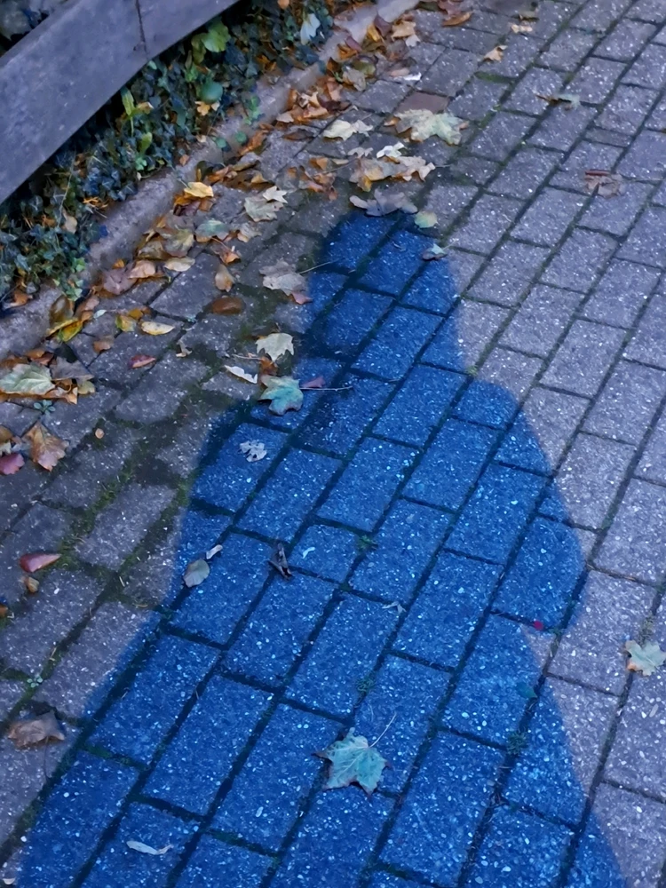 Image uploaded by Utterly Nonsensical