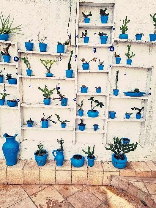 Image uploaded by Dri