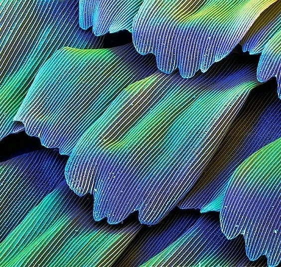 Bild hochgeladen von Steven