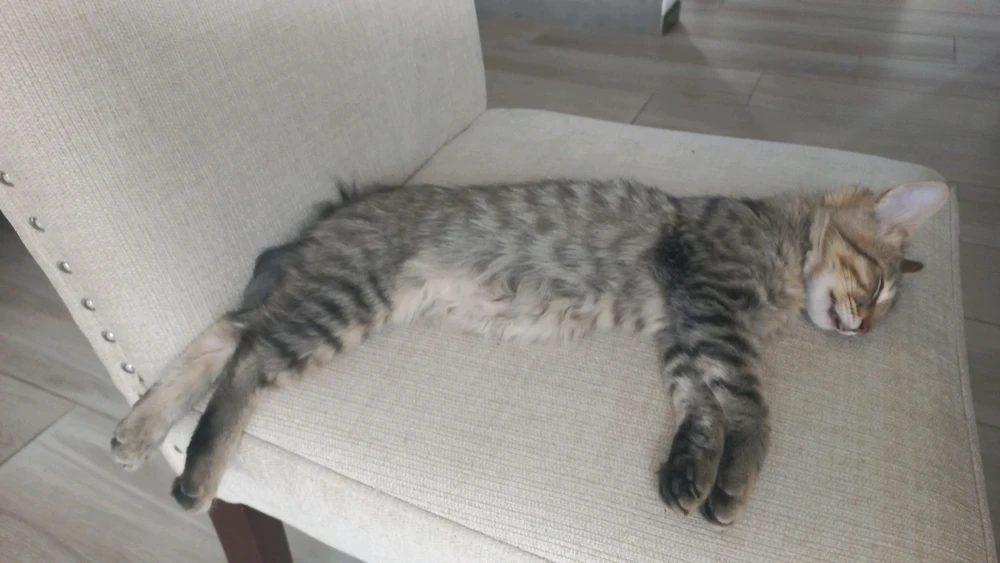 Imagen subida por Cyntia