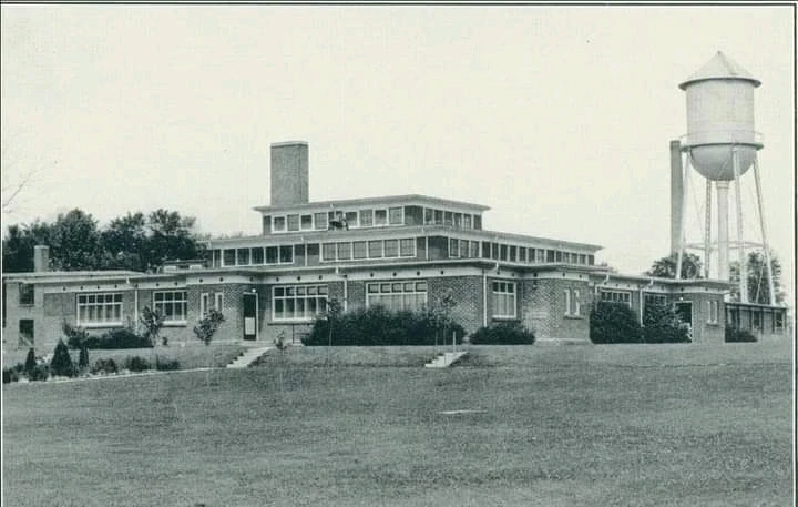 Image uploaded by Erik Thackrey