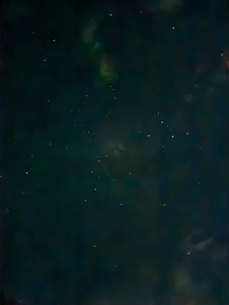 Bild hochgeladen von Pascal