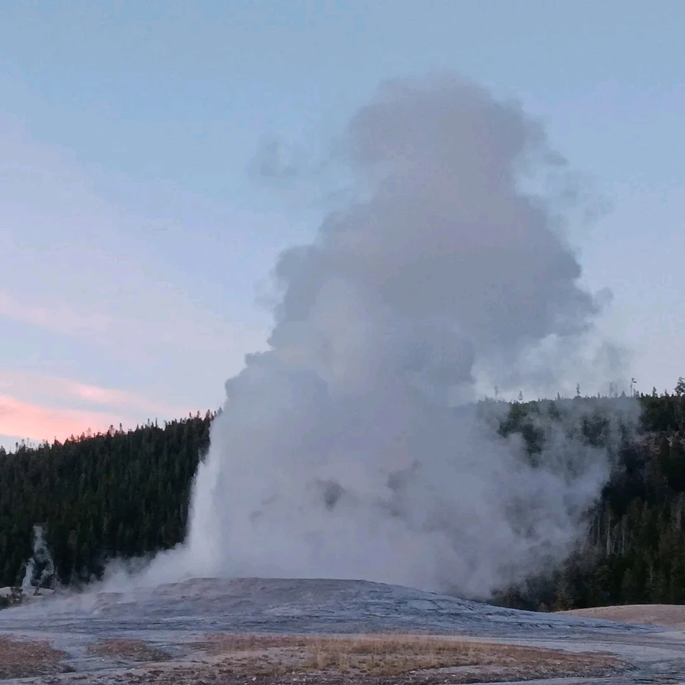 A picture of the Old Faithful geyser erupting which was very awesome to see during my trip to Yellowstone.