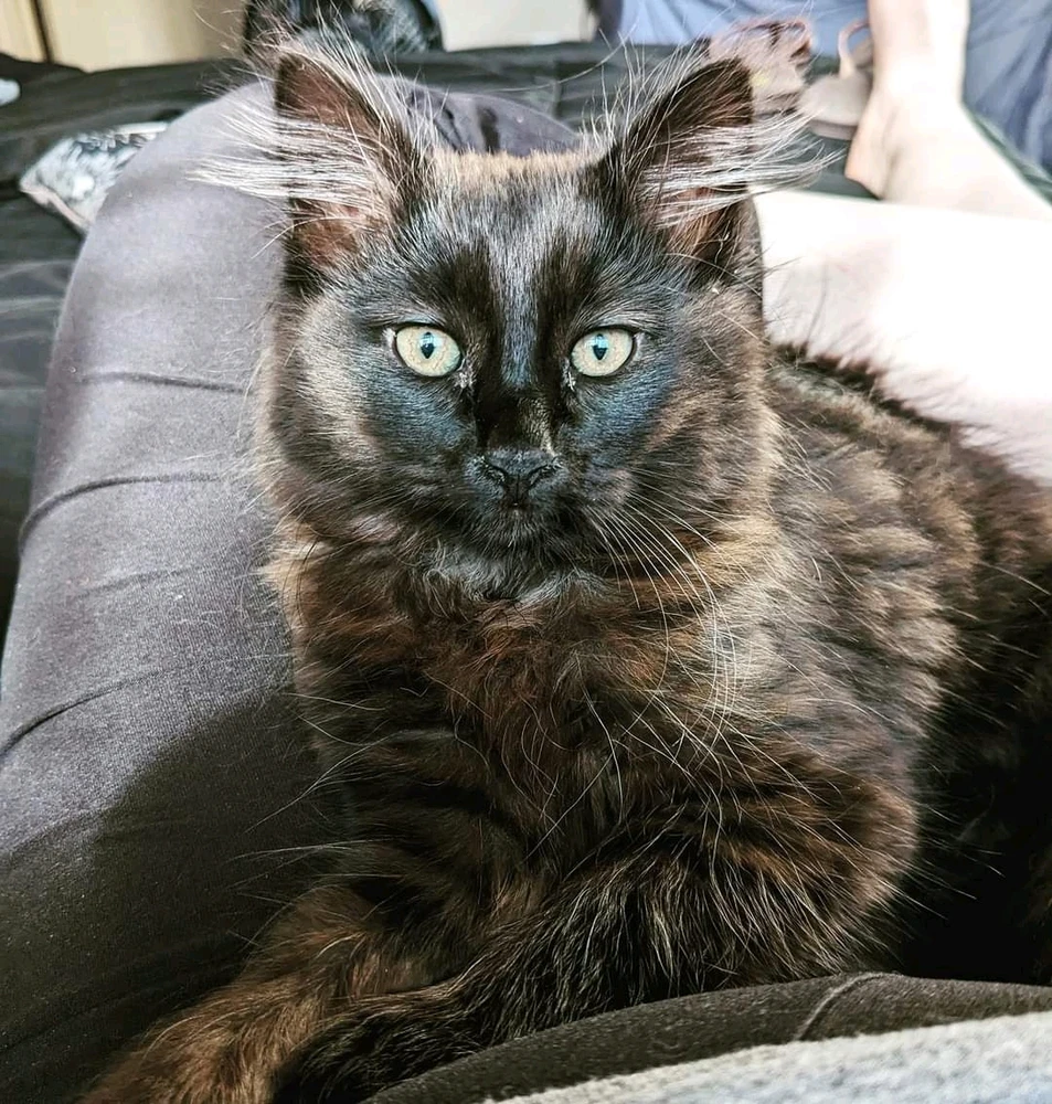 Image uploaded by Corri