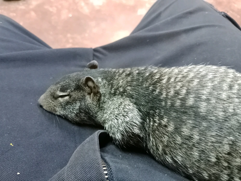 Imagen subida por Alan Leonardo