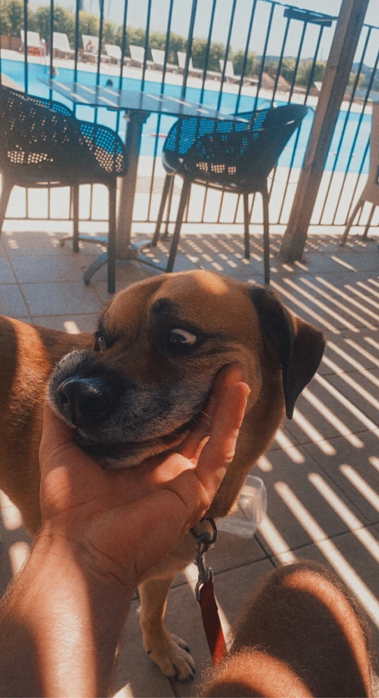 Image ajoutée par Max