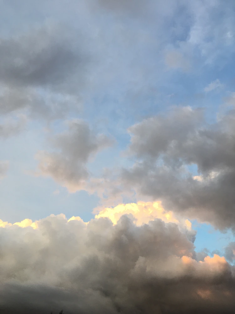 Фото загрузил Михаил