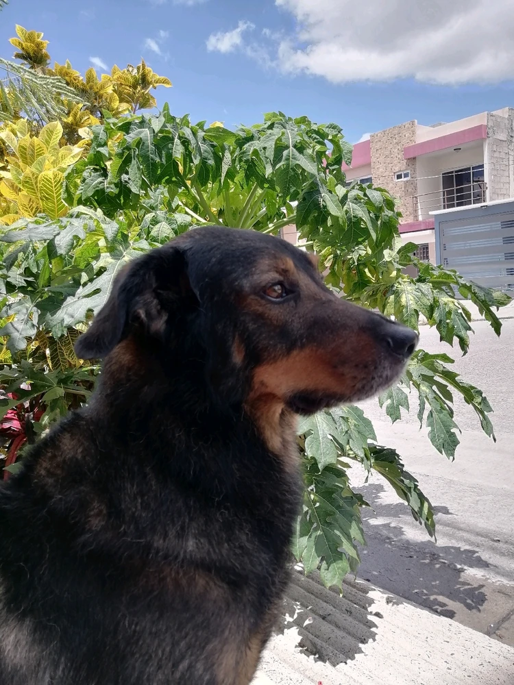 Imagen subida por Ale