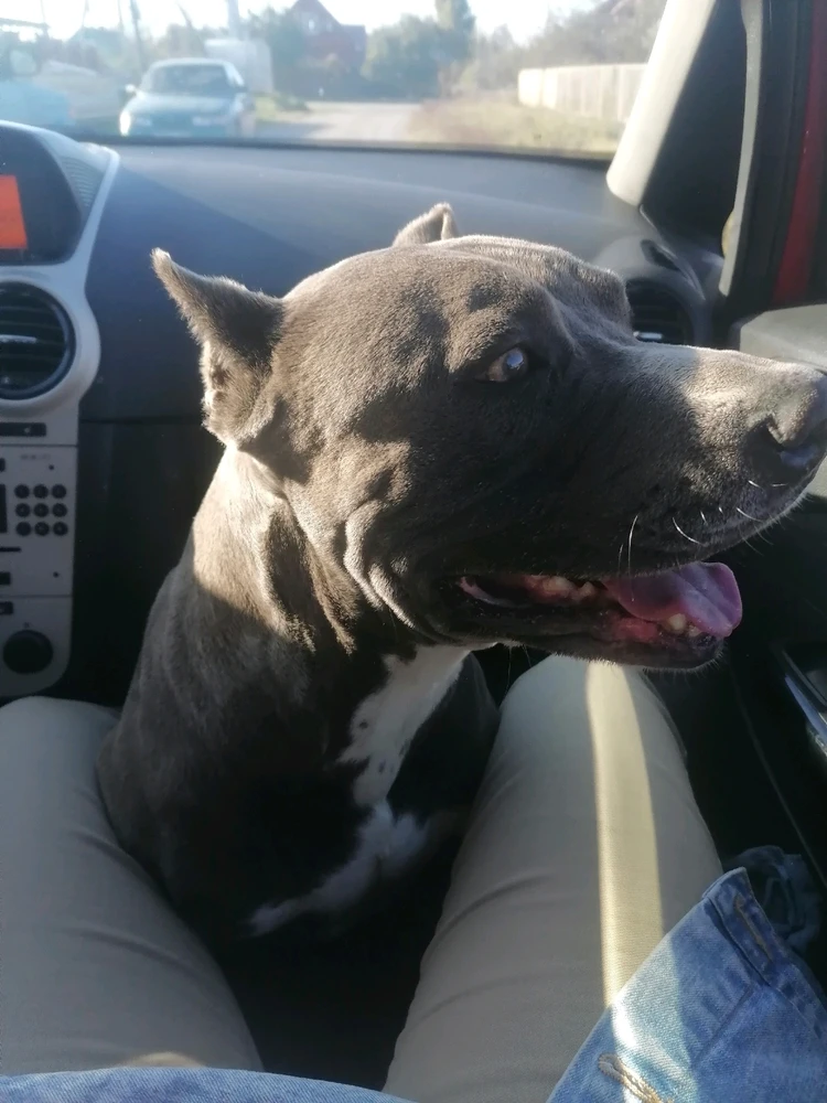 Фото загрузил Анастасия