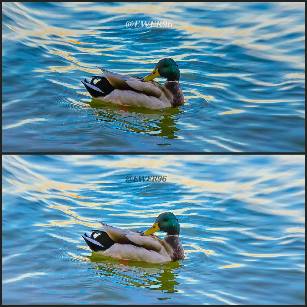 Imatge pujada per Ewerton