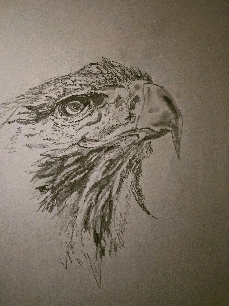 a marvelous chicken 