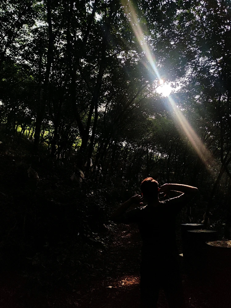 Image uploaded by Sandeep