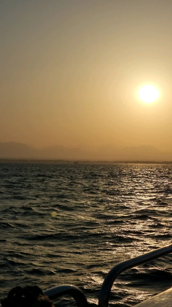 Image uploaded by Mo