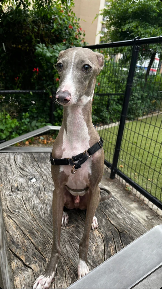 Image uploaded by Nico