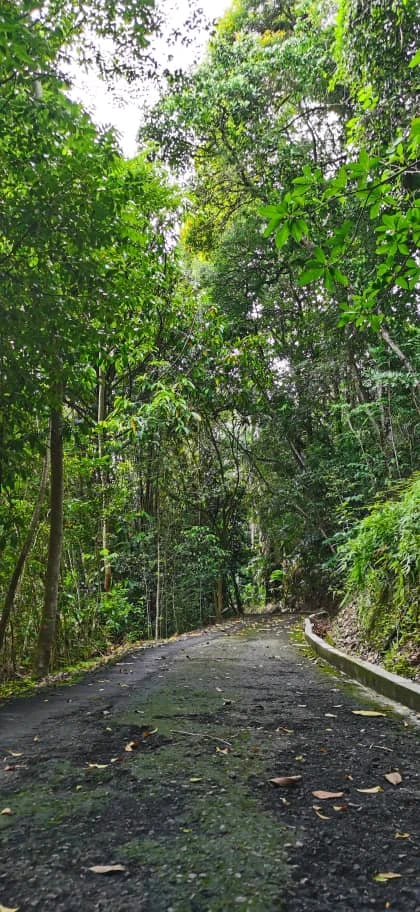 Image uploaded by jen