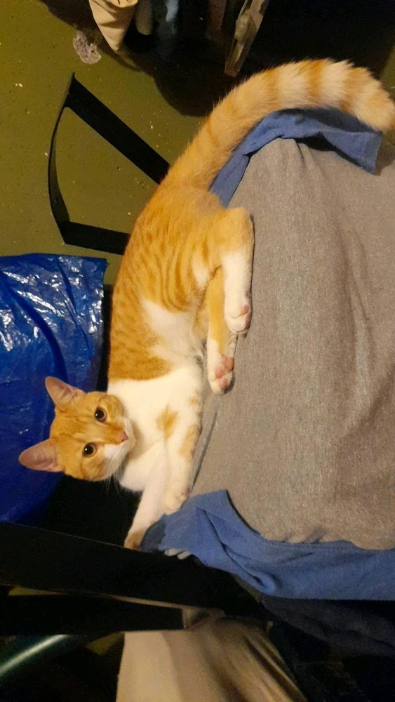 Imagen subida por Maiks