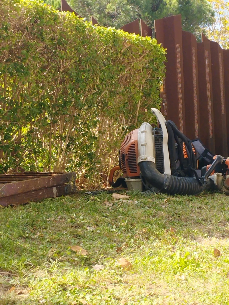 Imatge pujada per Joan