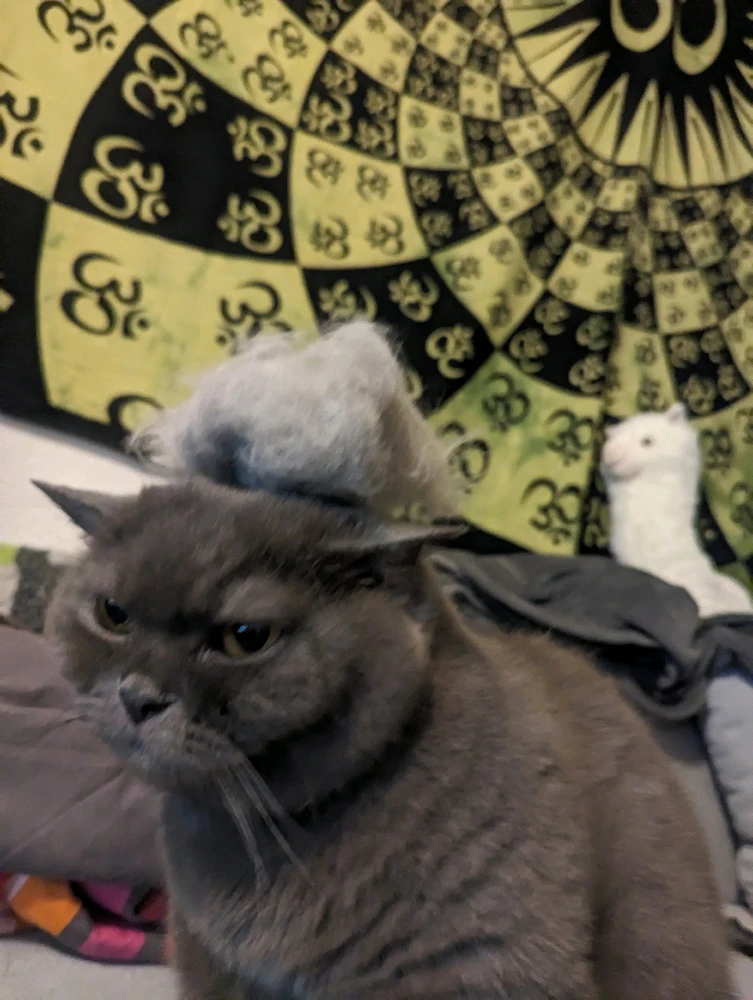 Bild hochgeladen von Nervensäge