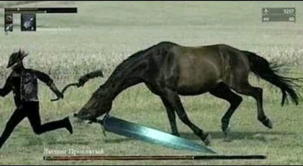 Zdjęcie dodane przez William