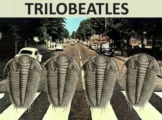 Imagen subida por Leikar