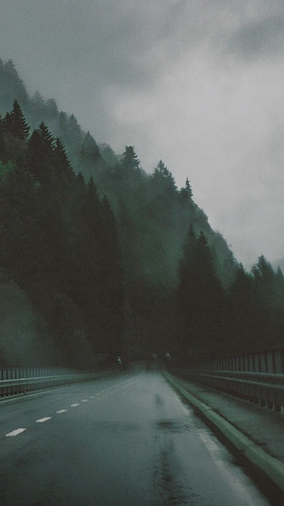 Rainy outdoor wet street near forest fog