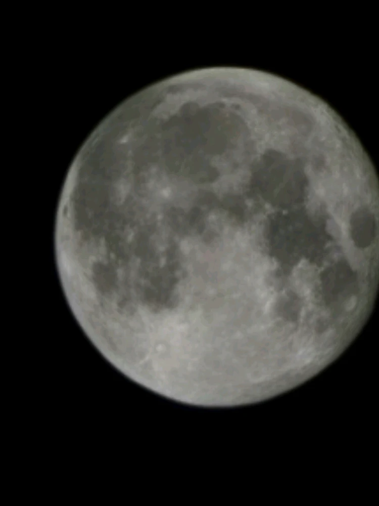 Image ajoutée par Ryan