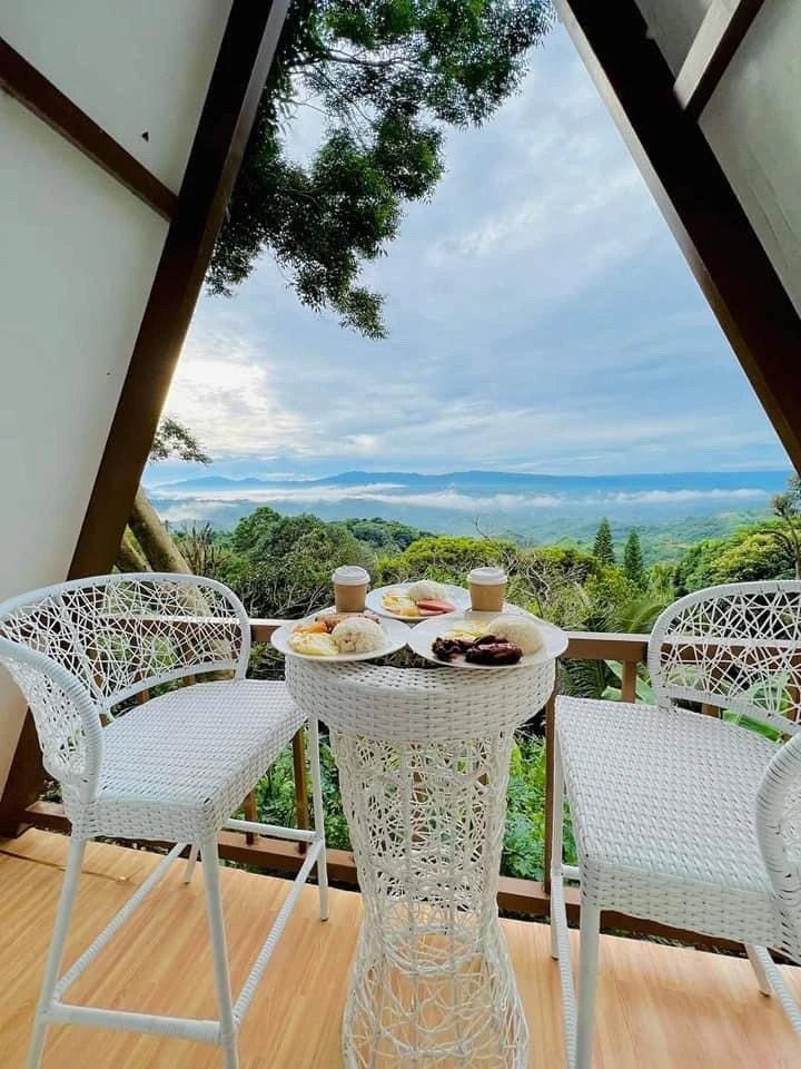 Image uploaded by Vicky