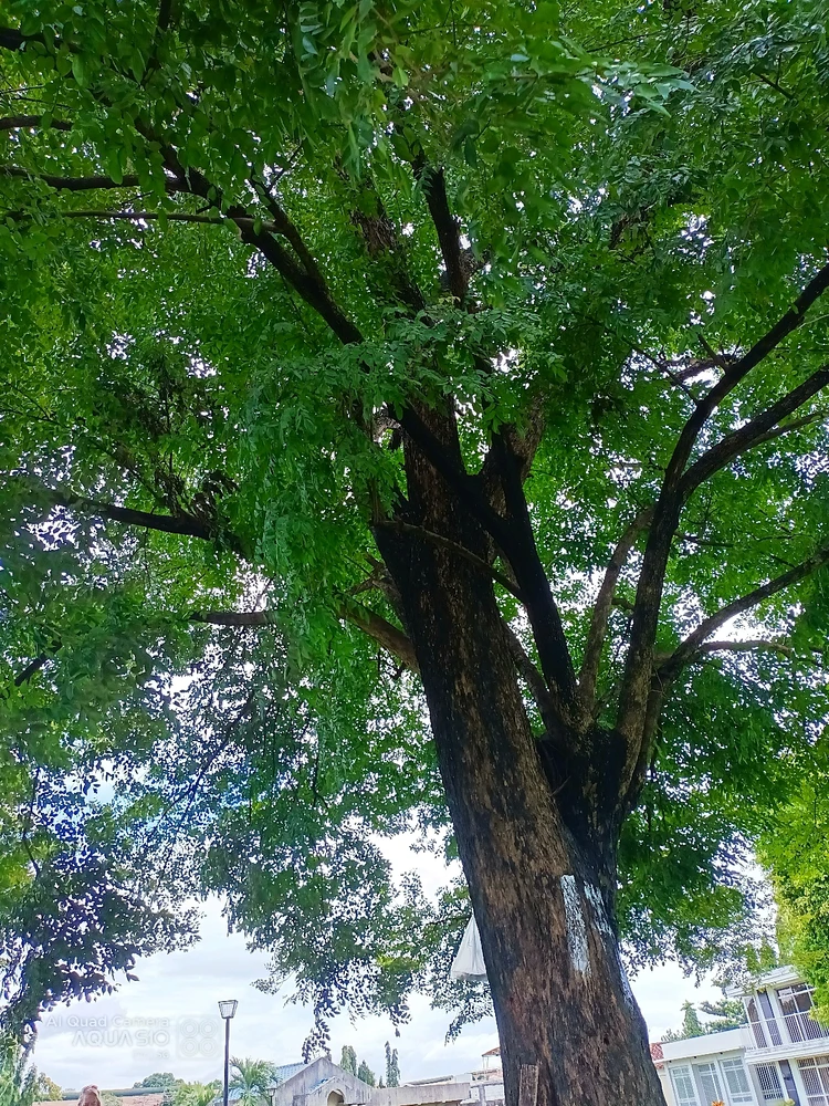 I-upload ni Jem ang larawan