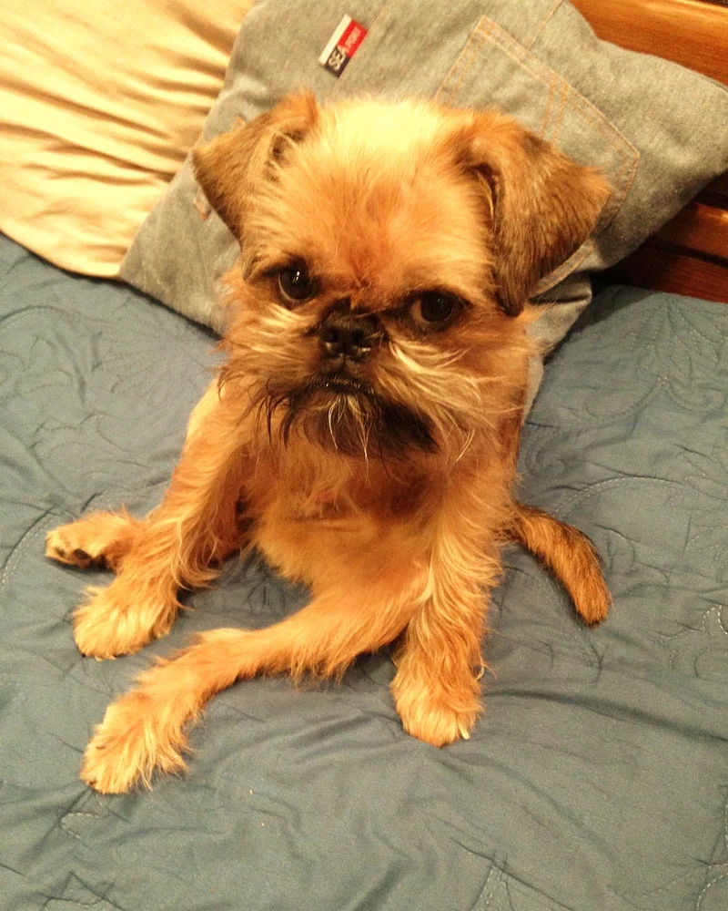 Image uploaded by Mariana πΊπ¦