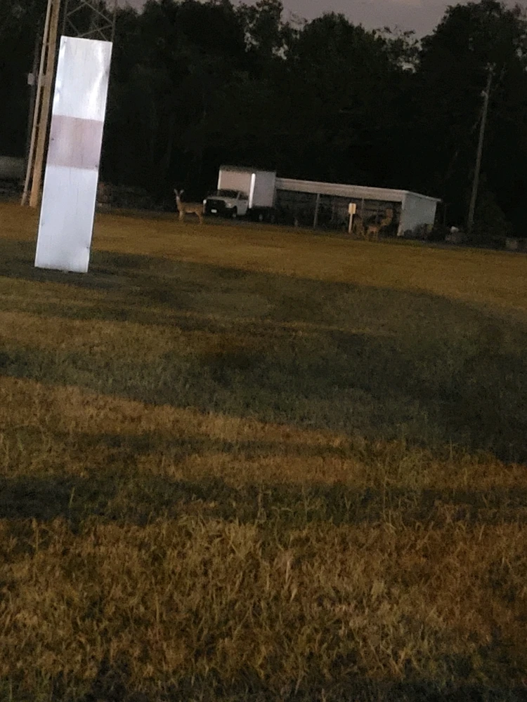 Image uploaded by Adeline