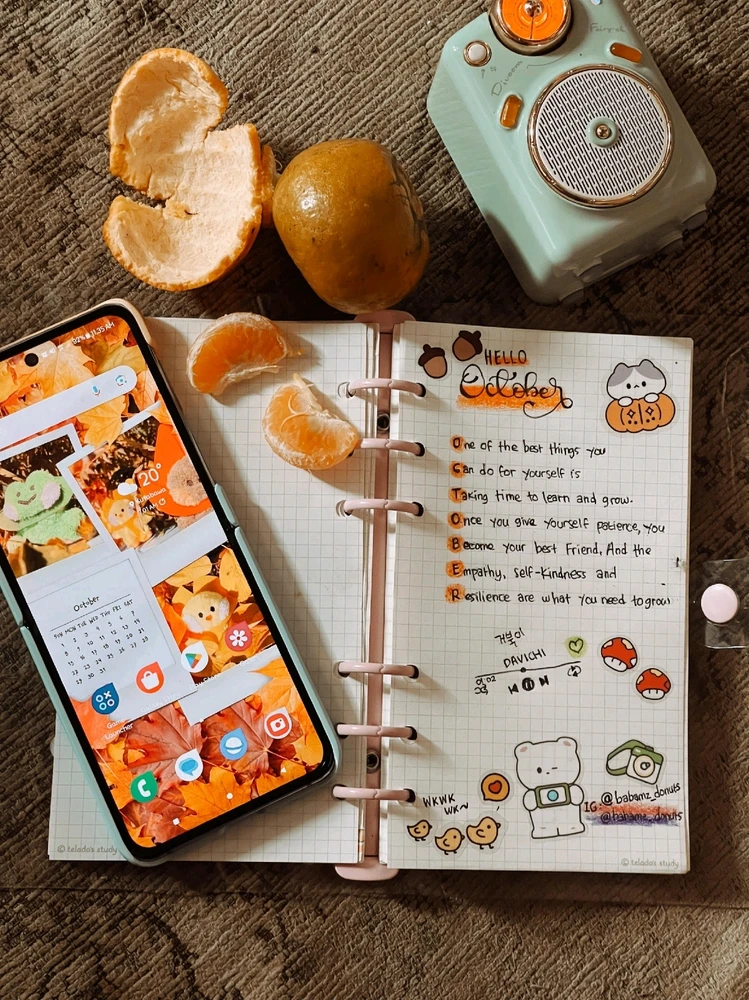 Gambar diunggah oleh Babamz