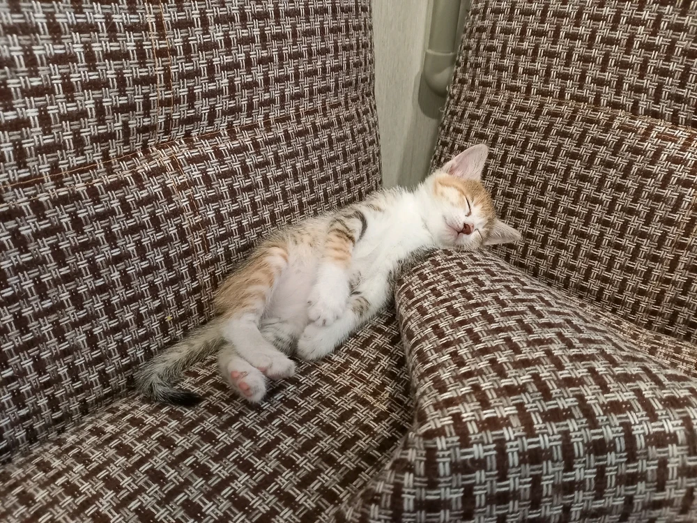 Фото загрузил Alex