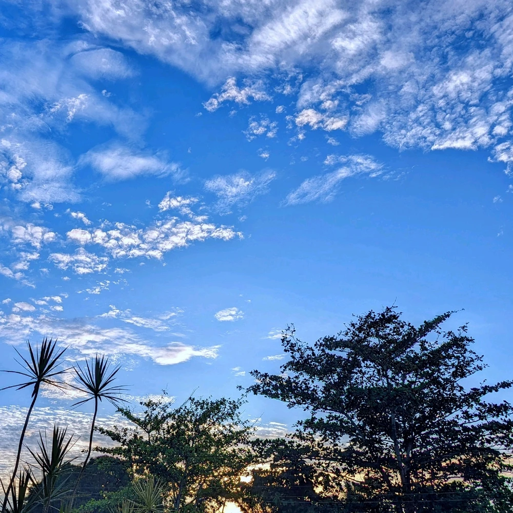 Gambar diunggah oleh Klei🌻⚖️