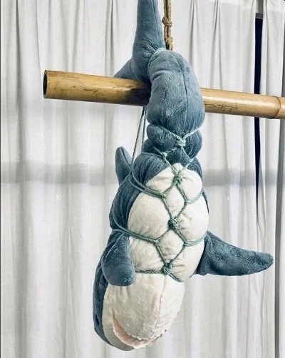 Image uploaded by Tobi