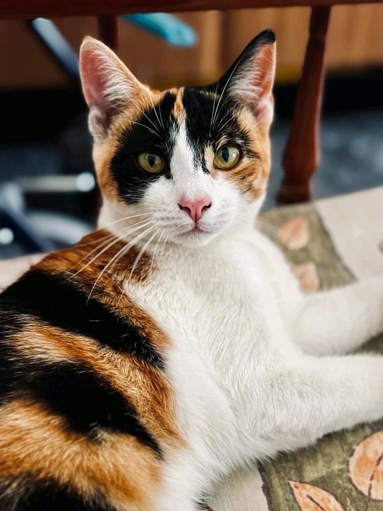 Imagen subida por Agueda