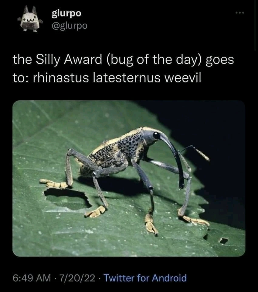 Zdjęcie dodane przez Kuba