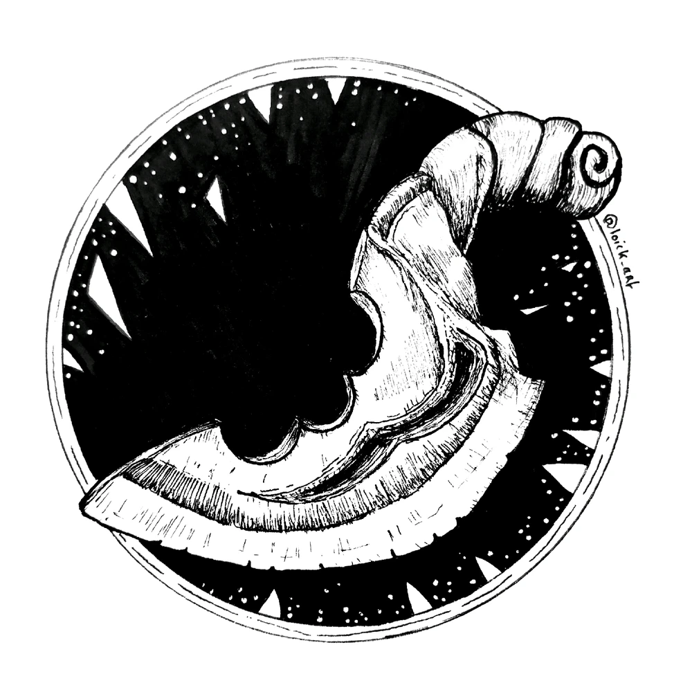 Image ajoutée par Loïc